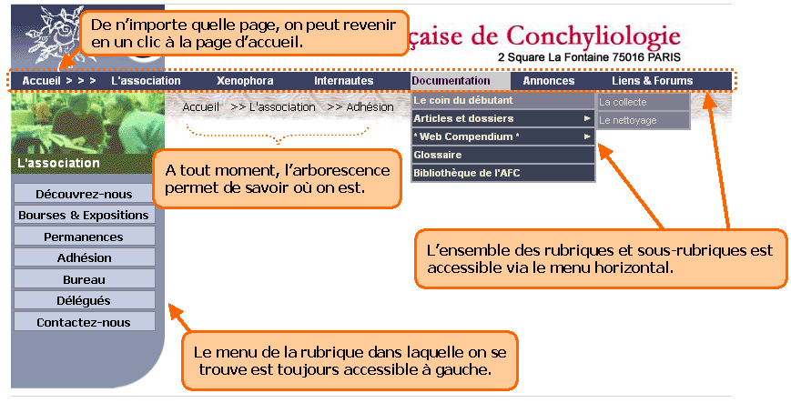 [IMAGE : Explication de l'organisation du site]