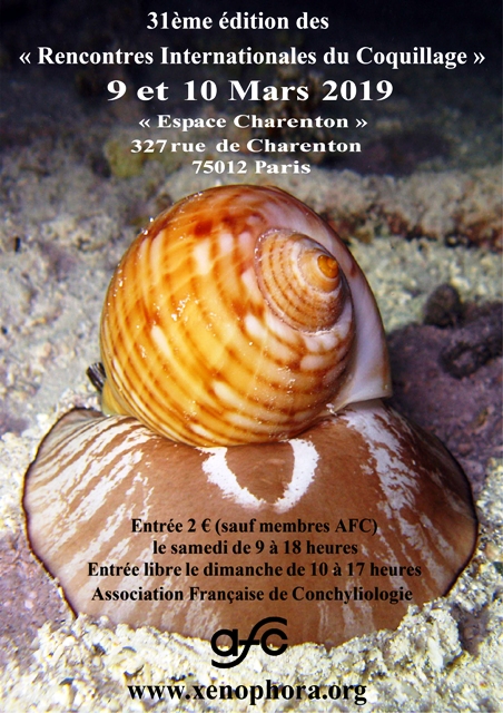 32ème Rencontres Internacionales du coquillage - CHELLES Shell Show - Allspira
