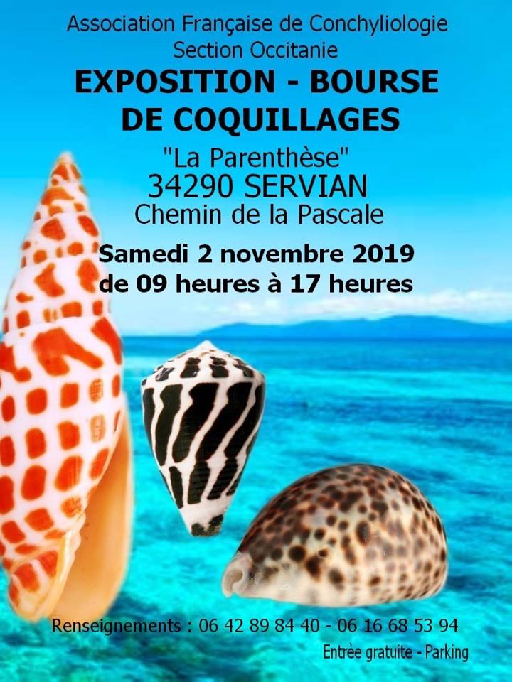 Bourse d'Occitanie - Servian - 02 Novembre 2019 Servian%2002-11-2019