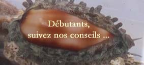 [Photo : Suivez nos conseils...]