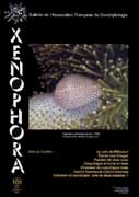 Couverture du Xenophora n103.