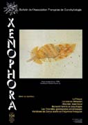 Couverture du Xenophora n104.