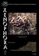 Couverture du Xenophora n107.