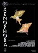 Couverture du Xenophora n108.