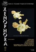 Couverture du Xenophora n111.