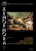 Couverture du Xenophora n113.