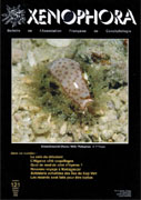 Couverture du Xenophora n121.