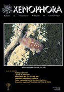 Couverture du Xenophora n122.