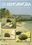 Couverture du Xenophora n134.