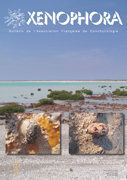 Couverture du Xenophora n137.