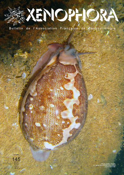 Couverture du Xenophora n145.