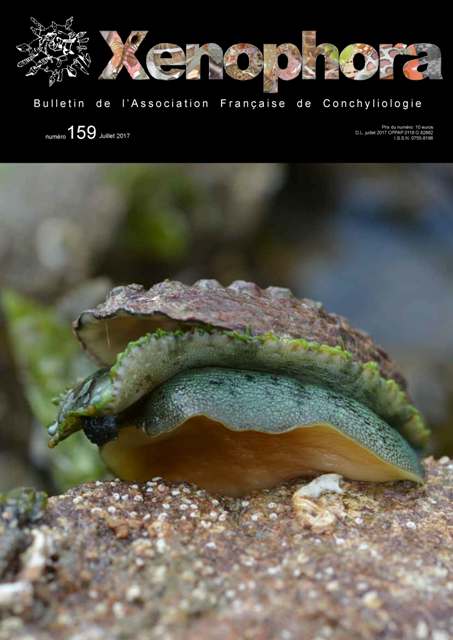 Couverture du Xenophora n159.