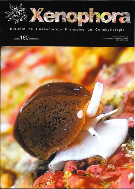 Couverture du Xenophora n160.