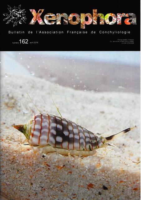 Couverture du Xenophora n162.