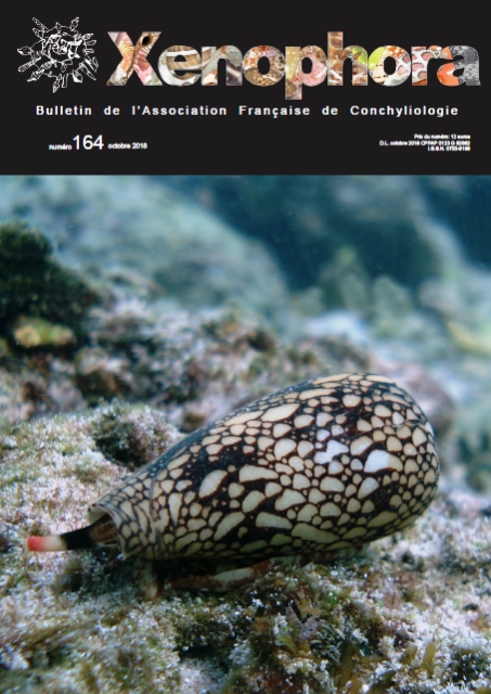 Couverture du Xenophora n164.