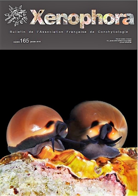 Couverture du Xenophora n165.