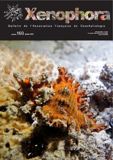 Couverture du Xenophora n169.