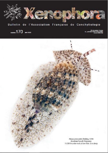 Couverture du Xenophora n170.