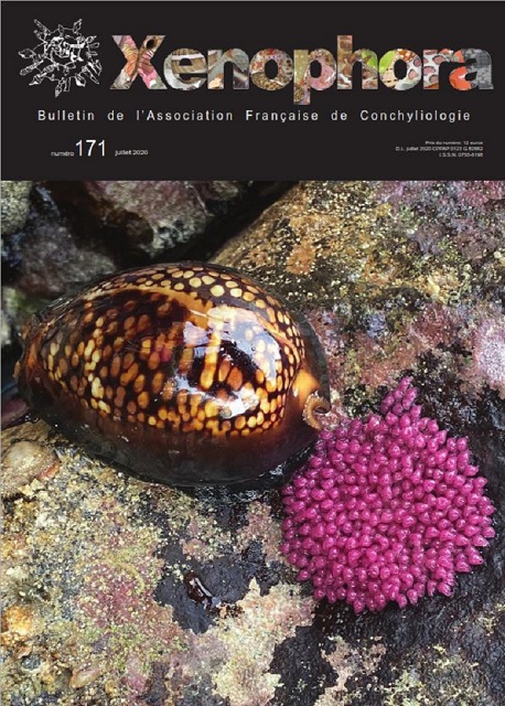 Couverture du Xenophora n171.