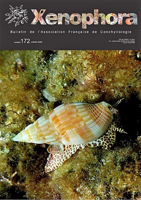 Couverture du Xenophora n172.