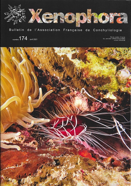 Couverture du Xenophora n174.