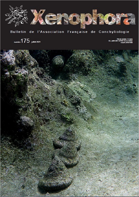 Couverture du Xenophora n175.