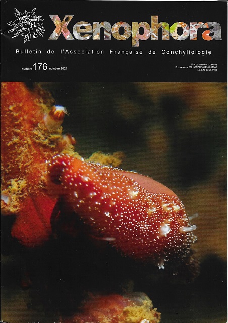 Couverture du Xenophora n176.