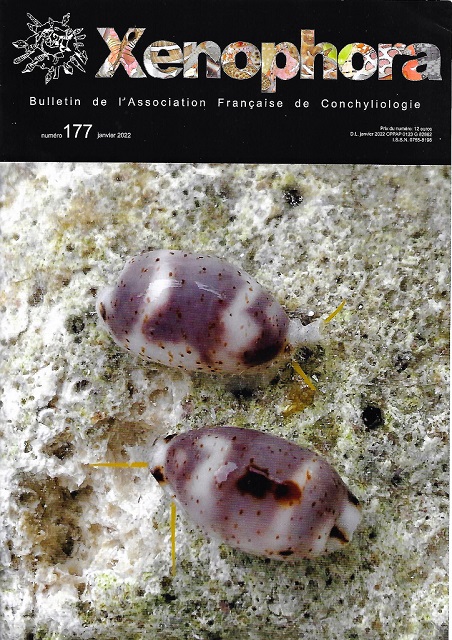 Couverture du Xenophora n177.