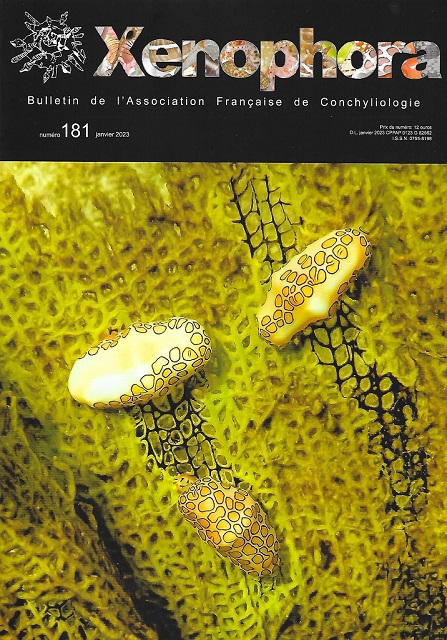 Couverture du Xenophora n181.