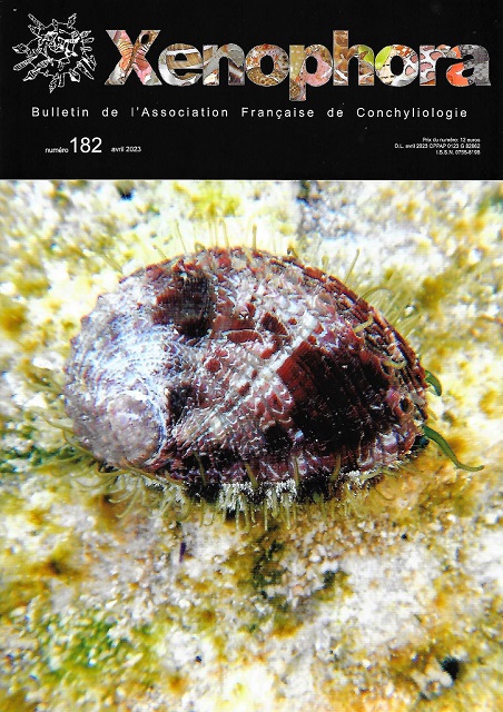 Couverture du Xenophora n182.