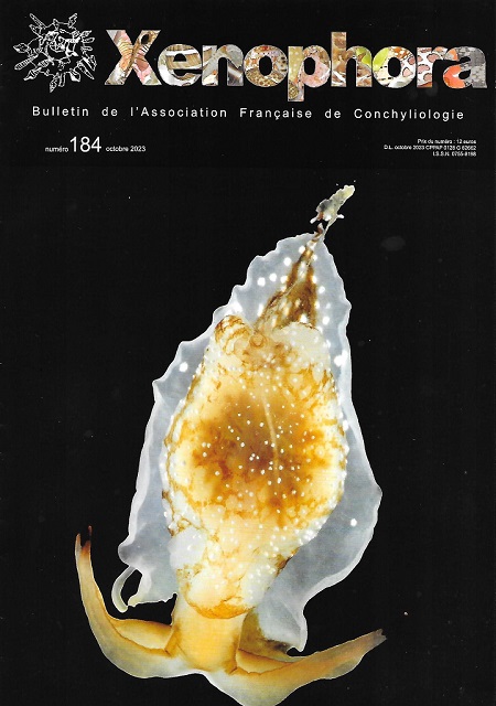 Couverture du Xenophora n184.