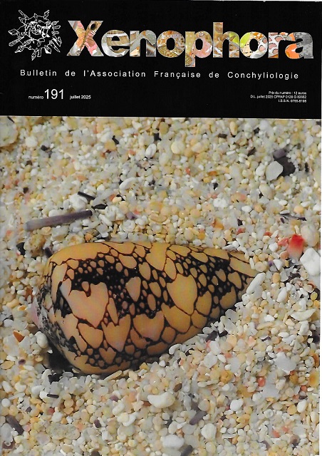 Couverture du Xenophora n191.