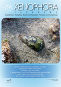 Couverture du Xenophora Taxonomy n1.