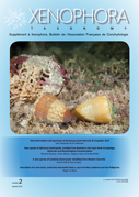 Couverture du Xenophora Taxonomy n°2.
