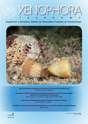 Couverture du Xenophora Taxonomy n2.