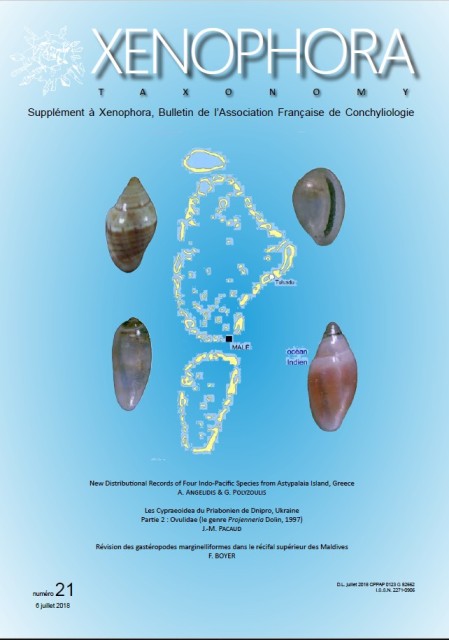 Couverture du Xenophora Taxonomy n21.