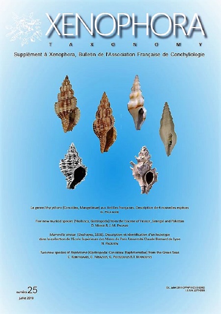 Couverture du Xenophora Taxonomy n°25.