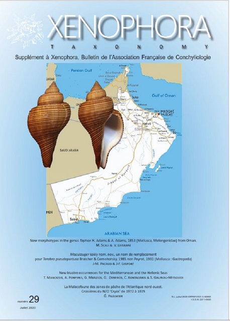 Couverture du Xenophora Taxonomy n29.