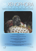 Couverture du Xenophora Taxonomy n3.