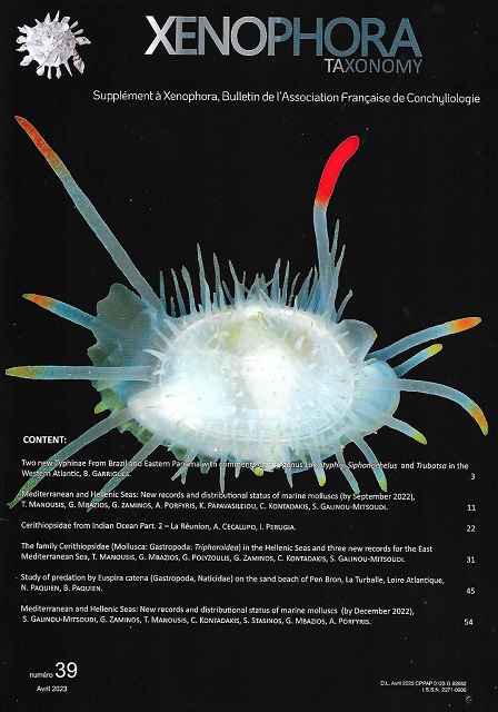Couverture du Xenophora Taxonomy n39.