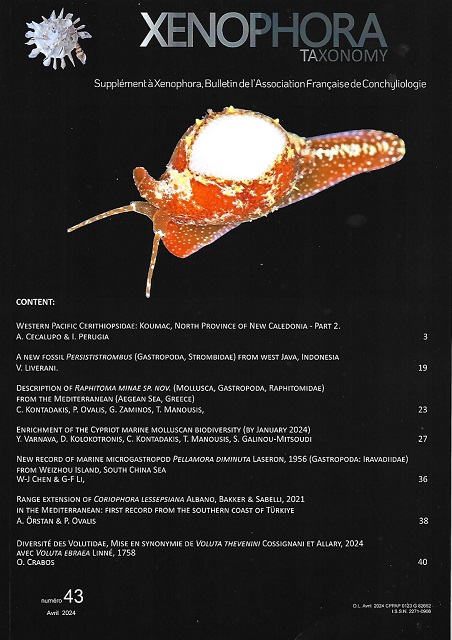 Couverture du Xenophora Taxonomy n43.