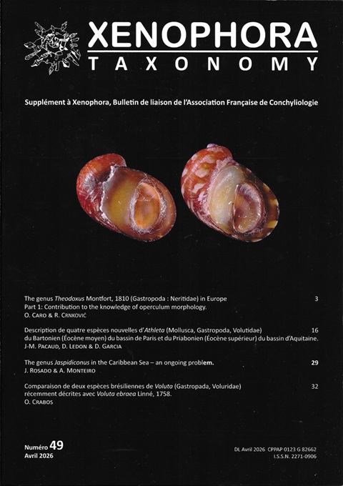 Couverture du Xenophora Taxonomy n�49.
