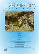 Couverture du Xenophora Taxonomy n°6.