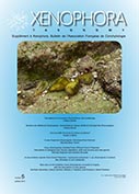 Couverture du Xenophora Taxonomy n6.