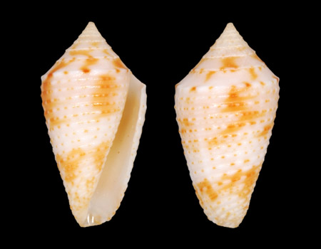 1469l