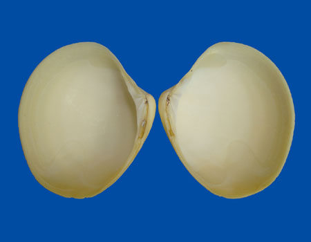 6576l
