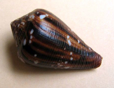 7186l