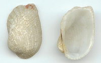 267l