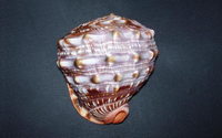 685l