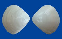 3478l